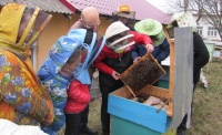Інформація Про участь юннатів  у науково-пізнавальній грі  „Подорож в історію бджільництва”